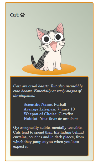 Cat CSS card